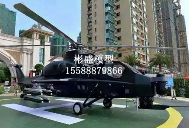大型飛機模型